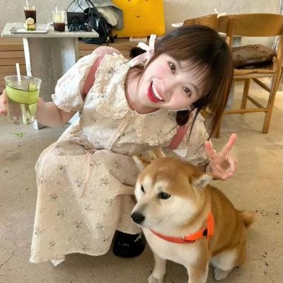 完美贴合